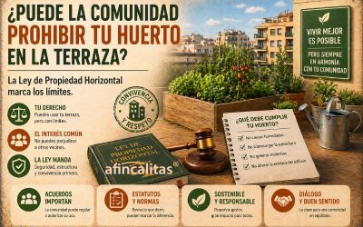 Huertos en terrazas comunitarias: ¿puede la comunidad prohibirlos? Lo que dice la Ley de Propiedad Horizontal