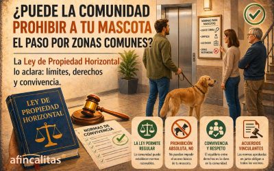 ¿Puede la comunidad prohibir que tu mascota pase por zonas comunes? La ley lo aclara