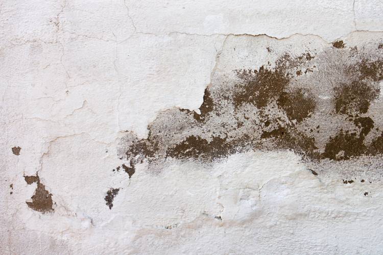 textura-pared-blanca-danada problemas de humedad